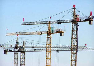 一呼百应公司频道