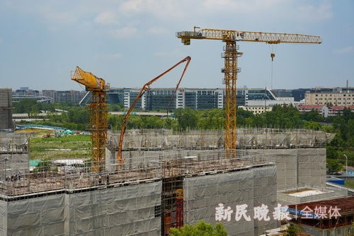 申城规模最大的保障性租赁住宅项目加紧施工