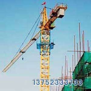 天津塔机租赁设备图片精选与细节解析